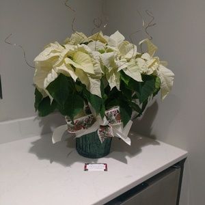 Meet your Posher, Heidi